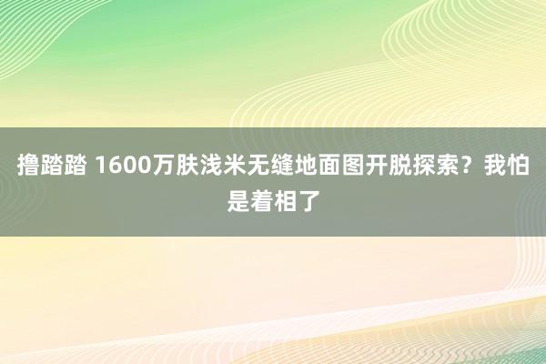 撸踏踏 1600万肤浅米无缝地面图开脱探索？我怕是着相了