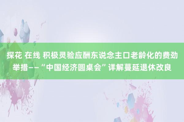 探花 在线 积极灵验应酬东说念主口老龄化的费劲举措——“中国经济圆桌会”详解蔓延退休改良