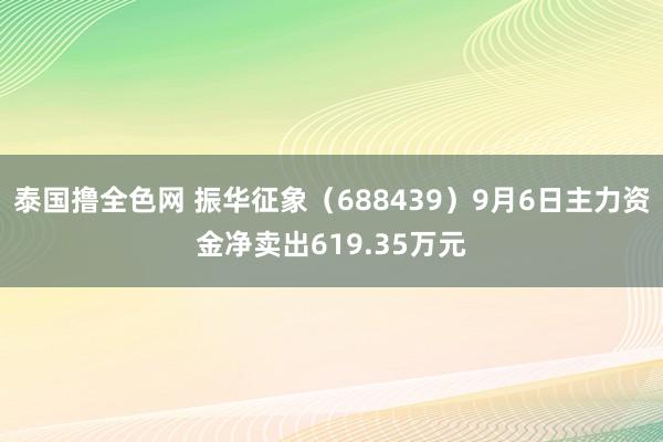 泰国撸全色网 振华征象（688439）9月6日主力资金净卖出619.35万元