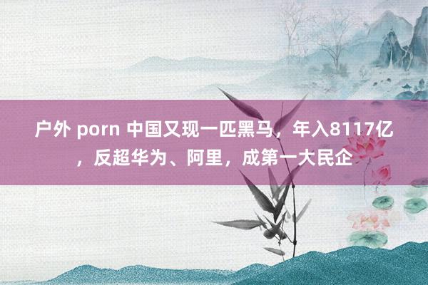 户外 porn 中国又现一匹黑马，年入8117亿，反超华为、阿里，成第一大民企