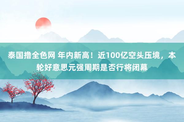 泰国撸全色网 年内新高！近100亿空头压境，本轮好意思元强周期是否行将闭幕