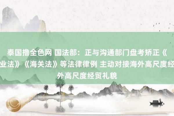 泰国撸全色网 国法部：正与沟通部门盘考矫正《对外商业法》《海关法》等法律律例 主动对接海外高尺度经贸礼貌