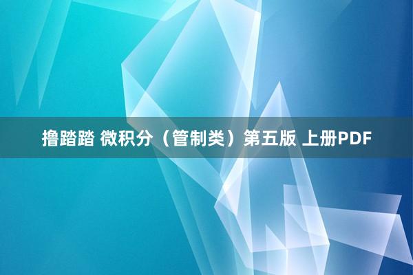 撸踏踏 微积分（管制类）第五版 上册PDF