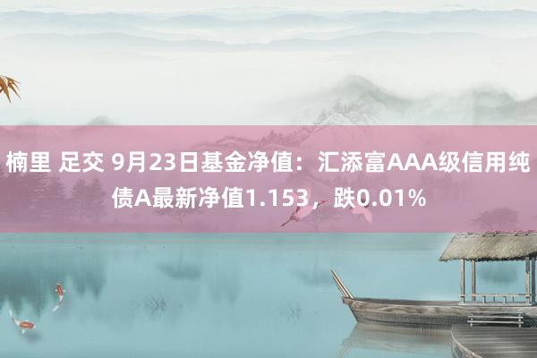 楠里 足交 9月23日基金净值：汇添富AAA级信用纯债A最新净值1.153，跌0.01%