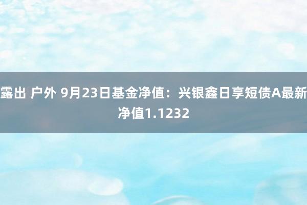 露出 户外 9月23日基金净值：兴银鑫日享短债A最新净值1.1232