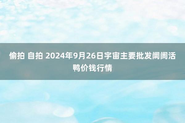 偷拍 自拍 2024年9月26日宇宙主要批发阛阓活鸭价钱行情