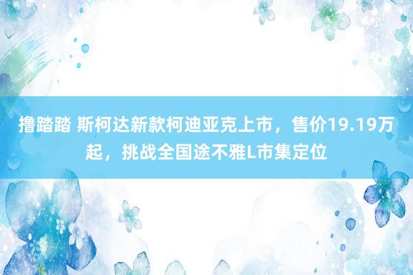 撸踏踏 斯柯达新款柯迪亚克上市，售价19.19万起，挑战全国途不雅L市集定位