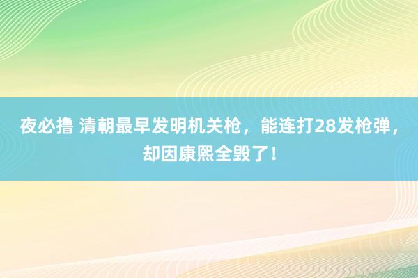 夜必撸 清朝最早发明机关枪，能连打28发枪弹，却因康熙全毁了！