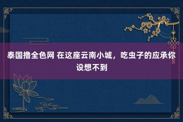 泰国撸全色网 在这座云南小城，吃虫子的应承你设想不到