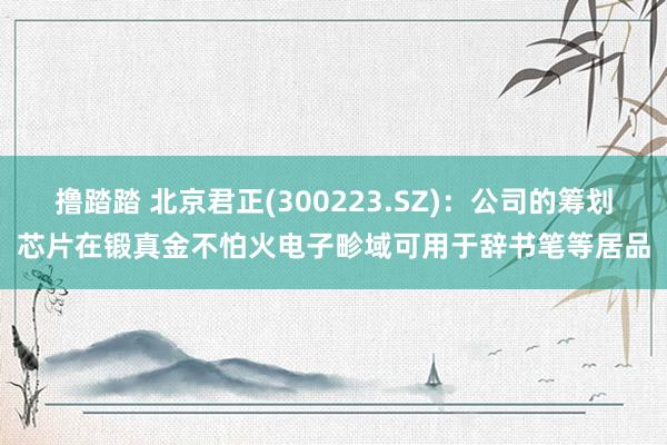 撸踏踏 北京君正(300223.SZ)：公司的筹划芯片在锻真金不怕火电子畛域可用于辞书笔等居品