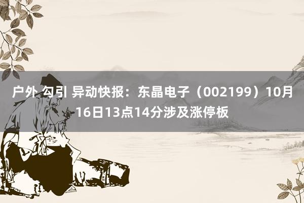 户外 勾引 异动快报：东晶电子（002199）10月16日13点14分涉及涨停板