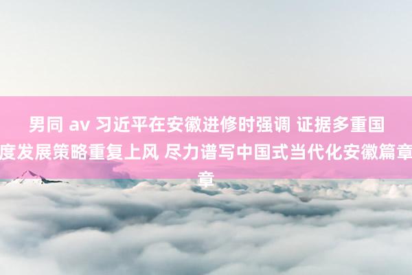 男同 av 习近平在安徽进修时强调 证据多重国度发展策略重复上风 尽力谱写中国式当代化安徽篇章