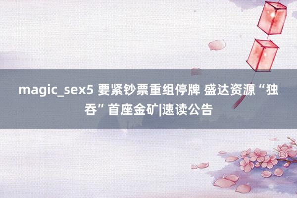 magic_sex5 要紧钞票重组停牌 盛达资源“独吞”首座金矿|速读公告