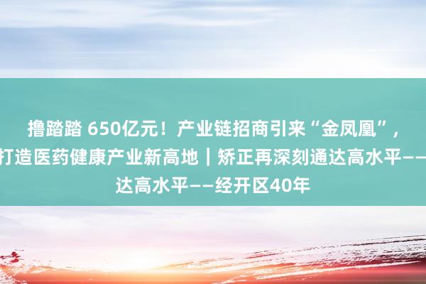 撸踏踏 650亿元！产业链招商引来“金凤凰”，天津经开区打造医药健康产业新高地｜矫正再深刻通达高水平——经开区40年