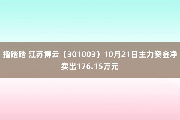 撸踏踏 江苏博云（301003）10月21日主力资金净卖出176.15万元