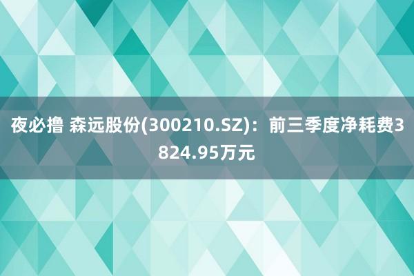 夜必撸 森远股份(300210.SZ)：前三季度净耗费3824.95万元