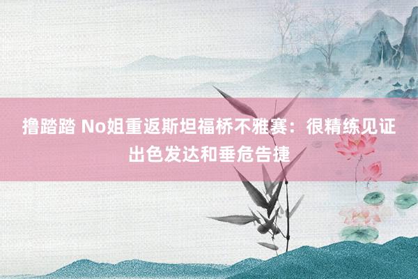 撸踏踏 No姐重返斯坦福桥不雅赛：很精练见证出色发达和垂危告捷