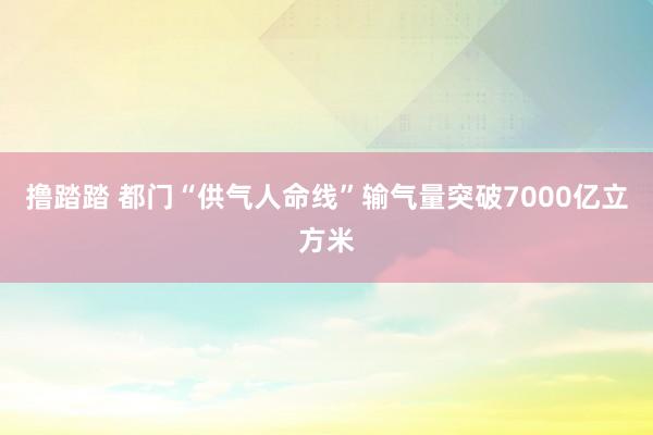 撸踏踏 都门“供气人命线”输气量突破7000亿立方米