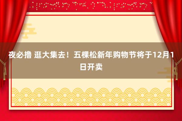 夜必撸 逛大集去！五棵松新年购物节将于12月1日开卖