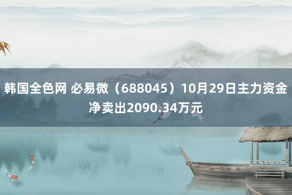 韩国全色网 必易微（688045）10月29日主力资金净卖出2090.34万元