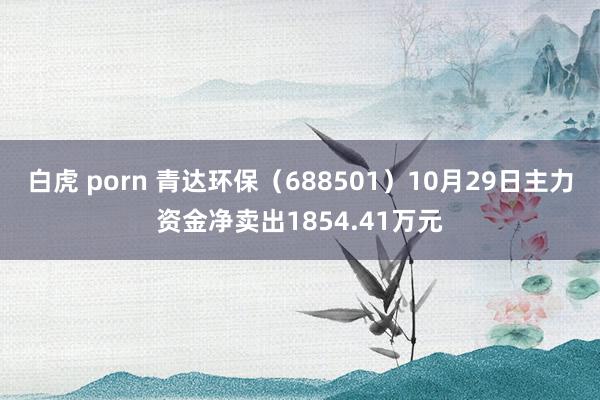 白虎 porn 青达环保（688501）10月29日主力资金净卖出1854.41万元