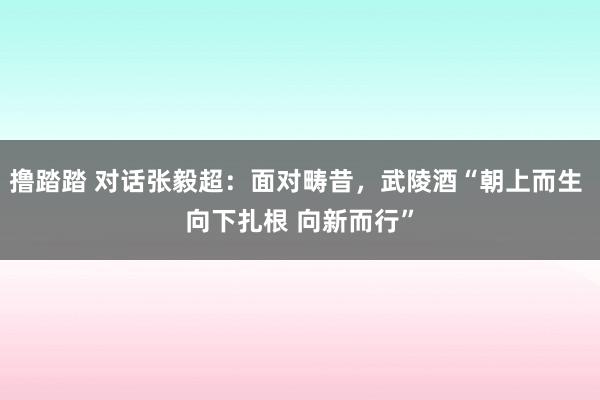 撸踏踏 对话张毅超：面对畴昔，武陵酒“朝上而生 向下扎根 向新而行”