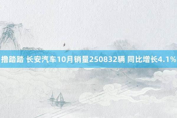 撸踏踏 长安汽车10月销量250832辆 同比增长4.1%