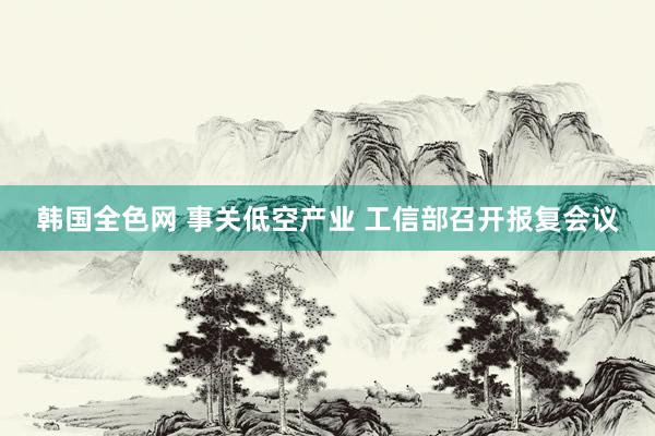 韩国全色网 事关低空产业 工信部召开报复会议