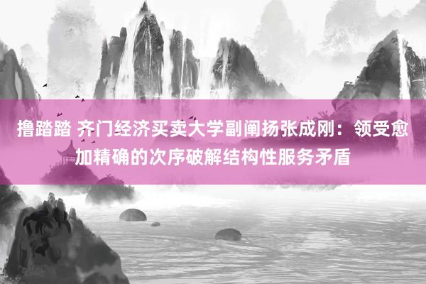 撸踏踏 齐门经济买卖大学副阐扬张成刚：领受愈加精确的次序破解结构性服务矛盾