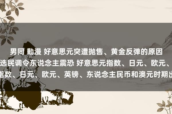 男同 動漫 好意思元突遭抛售、黄金反弹的原因在这！这份好意思国大选民调令东说念主震恐 好意思元指数、日元、欧元、英镑、东说念主民币和澳元时期出息分析