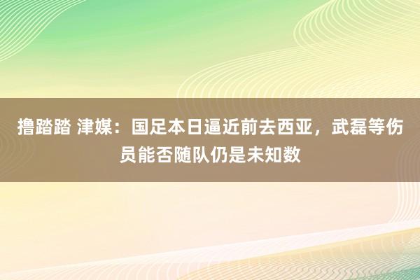 撸踏踏 津媒：国足本日逼近前去西亚，武磊等伤员能否随队仍是未知数