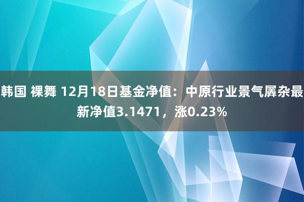 韩国 裸舞 12月18日基金净值：中原行业景气羼杂最新净值3.1471，涨0.23%