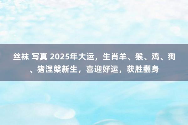 丝袜 写真 2025年大运，生肖羊、猴、鸡、狗、猪涅槃新生，喜迎好运，获胜翻身