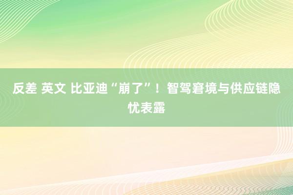 反差 英文 比亚迪“崩了”！智驾窘境与供应链隐忧表露