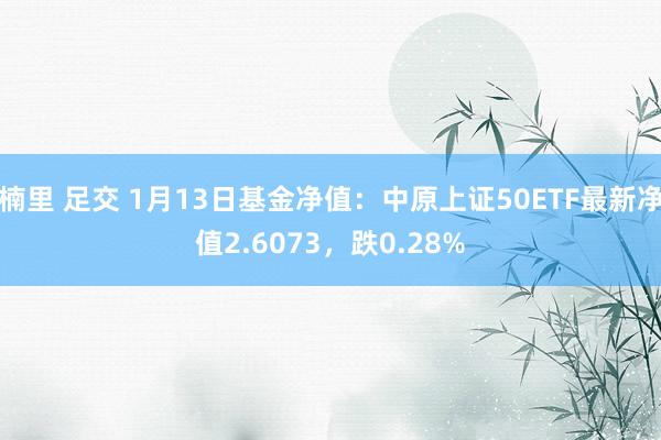 楠里 足交 1月13日基金净值：中原上证50ETF最新净值2.6073，跌0.28%