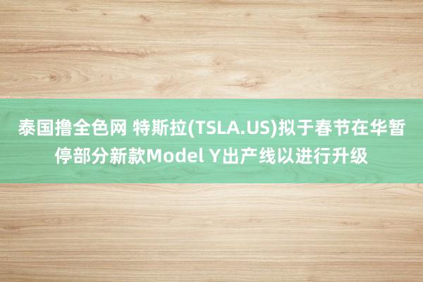 泰国撸全色网 特斯拉(TSLA.US)拟于春节在华暂停部分新款Model Y出产线以进行升级