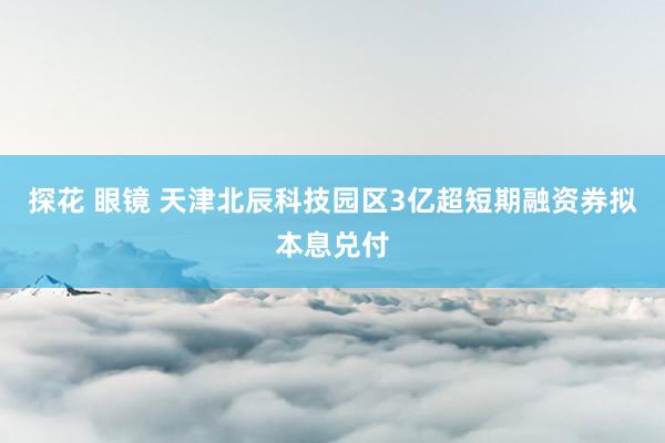 探花 眼镜 天津北辰科技园区3亿超短期融资券拟本息兑付