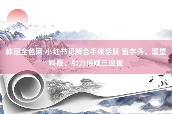 韩国全色网 小红书见解合手续活跃 寰宇秀、遥望科技、引力传媒三连板